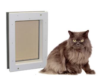Average cat next to Freedom Pet Pass door-mounted cat door
