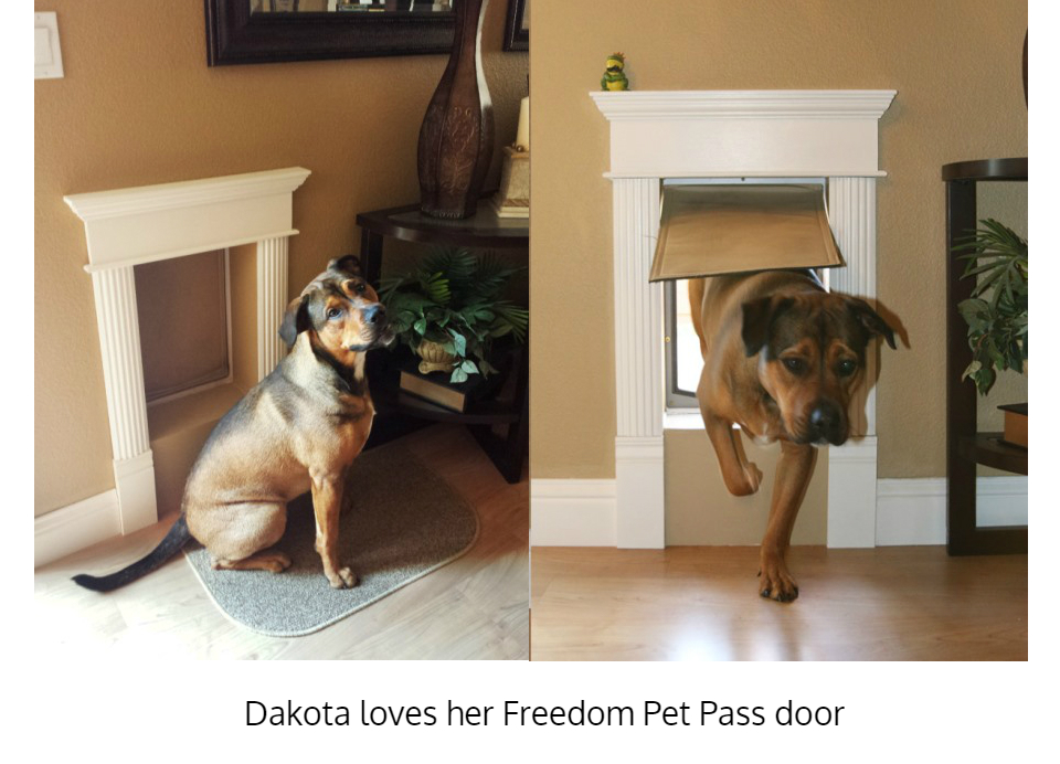 Doggy door discount for wall