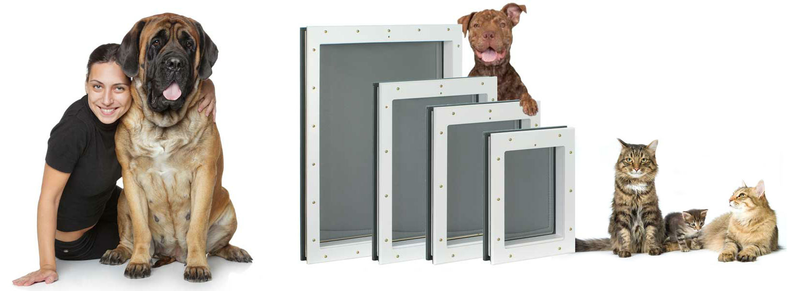 All four sizes of Freedom Pet Pass pet doors with dogs and cats